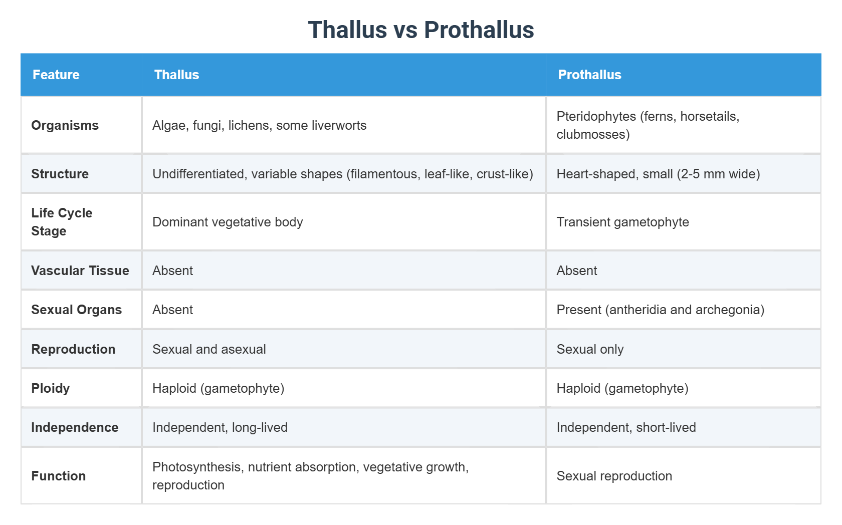 Thallus vs Prothallus