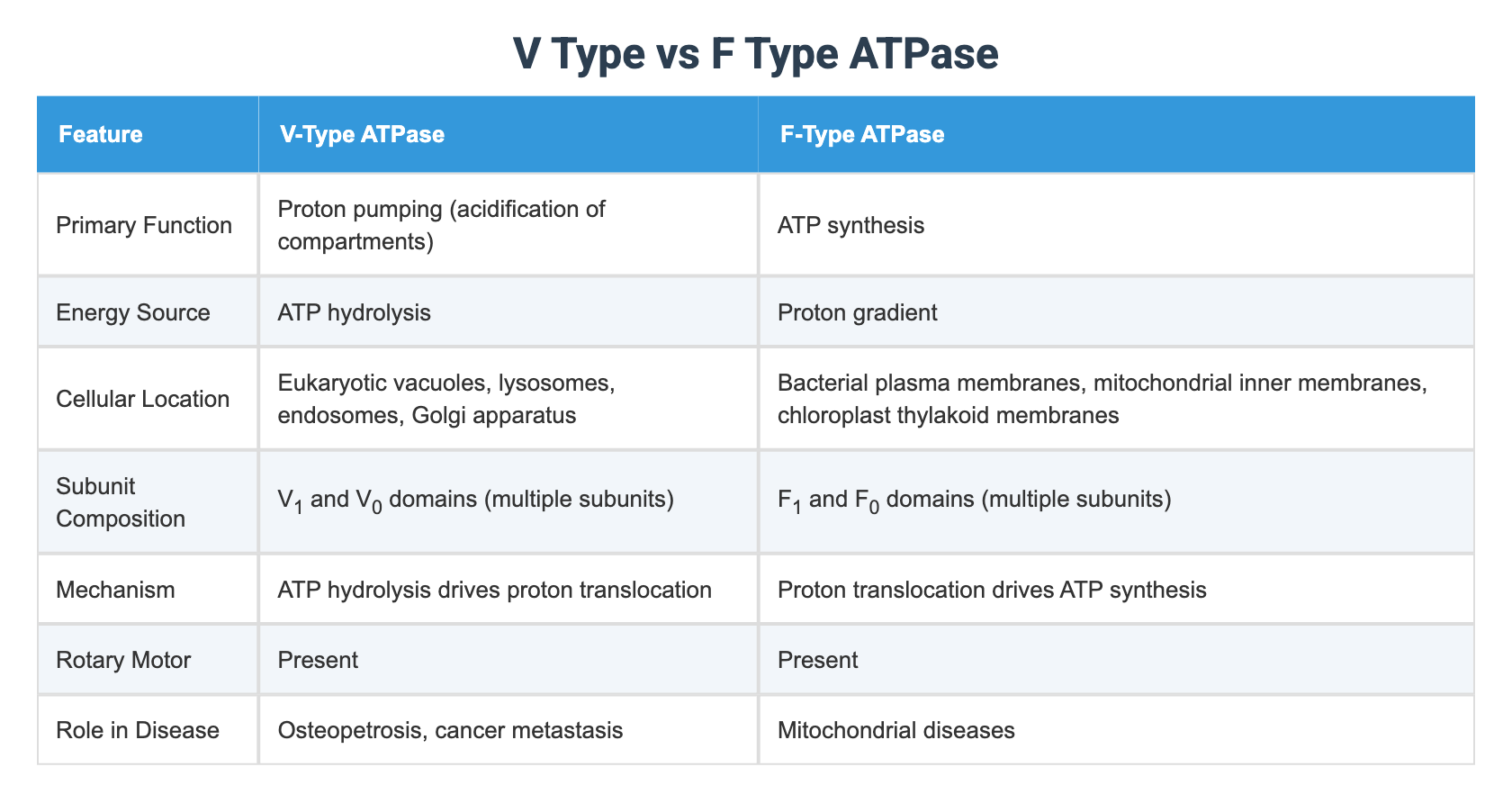 V Type Array V Type vs F Type ATPase