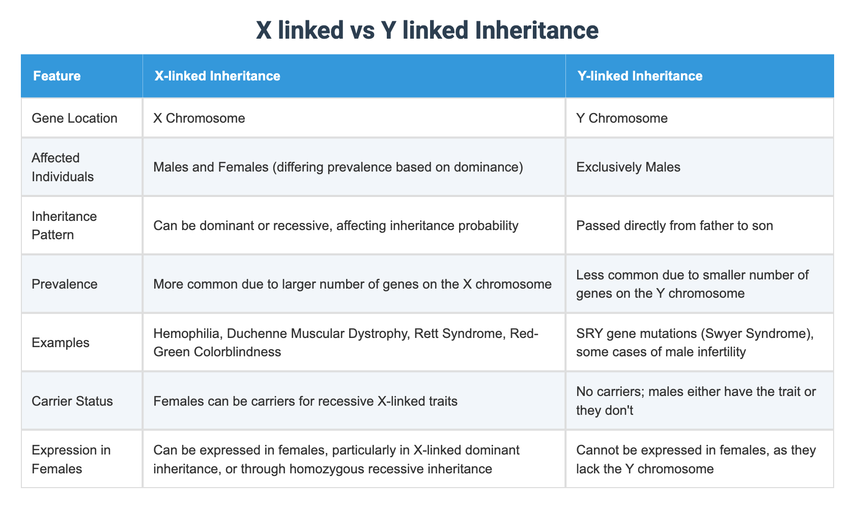 X linked vs Y linked Inheritance