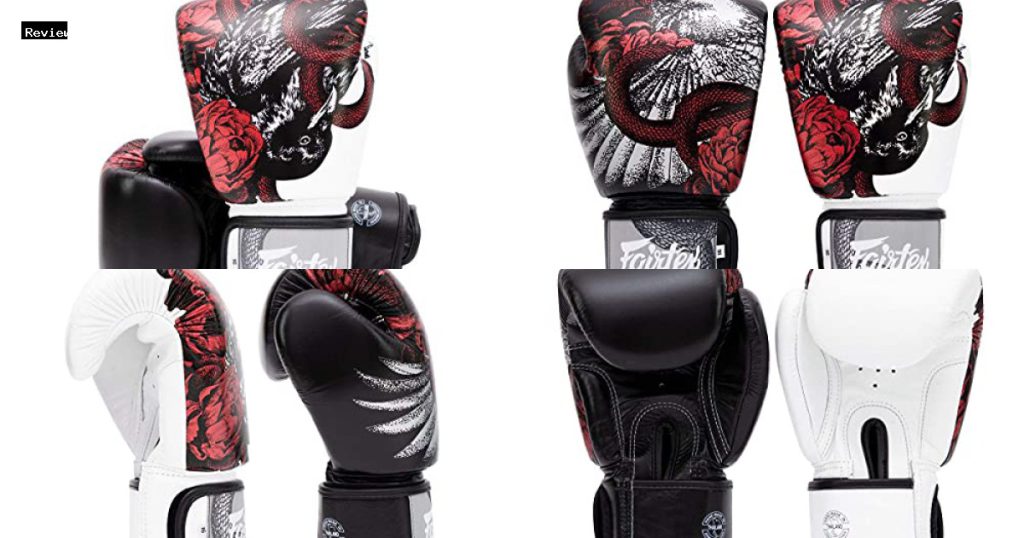 Fairtex BGV14 vs Beauty of Survival Gloves