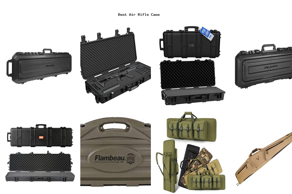 Best Air Rifle Case