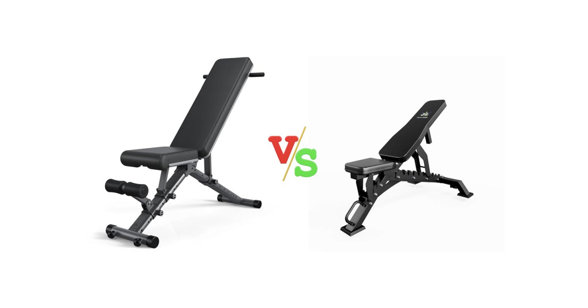 32 Bench BARWING Bench vs MAJOR FITNESS Bench